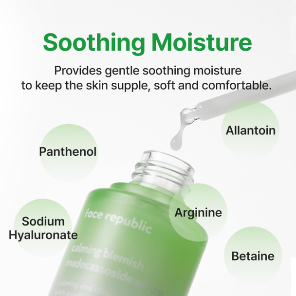 Republic Store Face Republic Calming Tea Tree Madecassoside Serum 45ml 1.52 fl oz  Lightweight  Soothing  Madecassoside Tea Tree Centella Asiatica Niacinamide  For irritated skin  Vegan Korean Skin Care