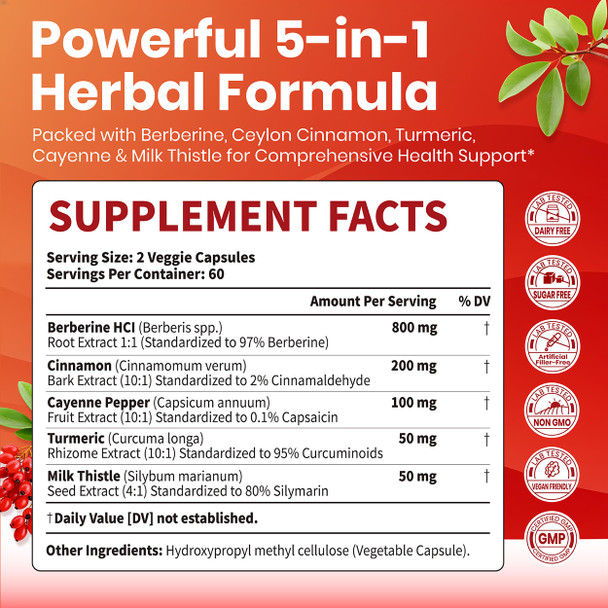 VEV Berberine Supplement with Ceylon Cinnamon, Cayenne Pepper, Turmeric, Milk Thistle, Vegan & Non-GMO – 120 Capsules
