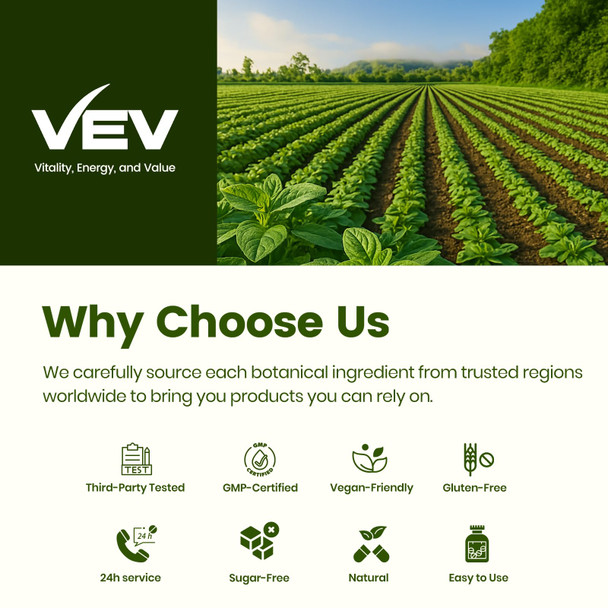VEV Oil of Oregano with Black Seed Oil & Moringa, Organic, 300 Softgels, Aceite de Orégano, Carvacrol-Rich, Opaque Airtight Packaging, Immune Support Supplement