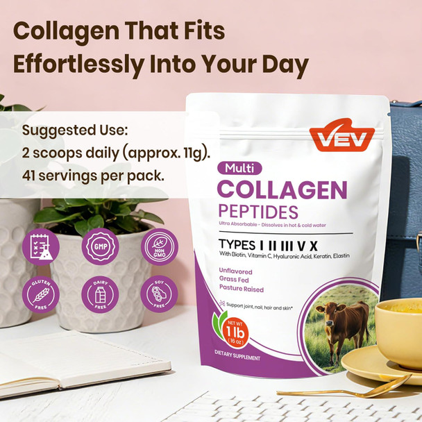 VEV Multi Collagen Peptides Powder, 16 oz (41 Servings) – Type I, II, III, V, X, Hydrolyzed Collagen, Hyaluronic Acid, Biotin, Vitamin C, Supports Skin, Unflavored, Dissolves Easily