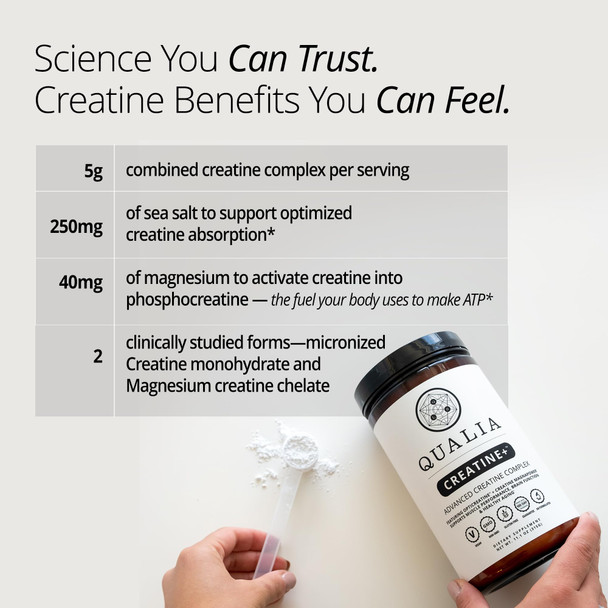 Qualia Creatine | Advanced Creatine Complex | 2 Sources + Magnesium | Optimized Absorption | Muscle Performance Brain Function & Healthy Aging