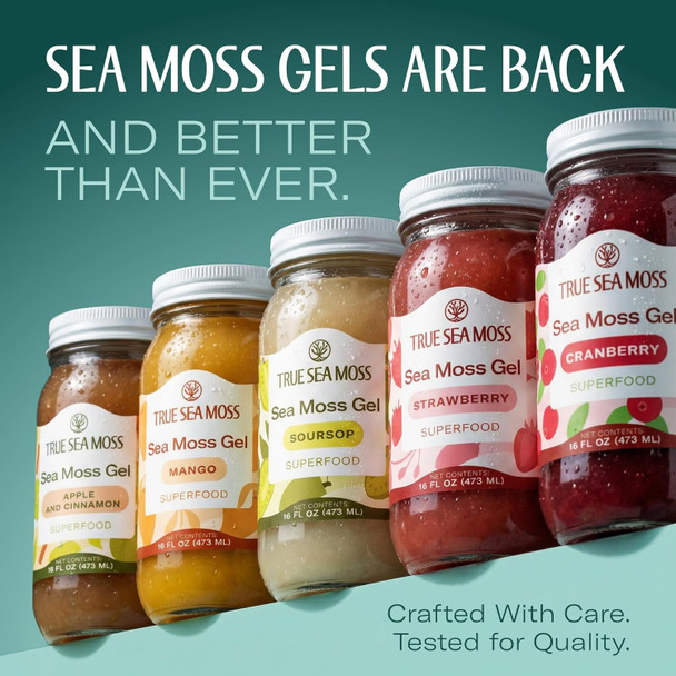 TrueSeaMoss Sea Moss Gel – Wildcrafted Seamoss, Fruits & Jarred Vegetables – Mango - 16 Fl Oz