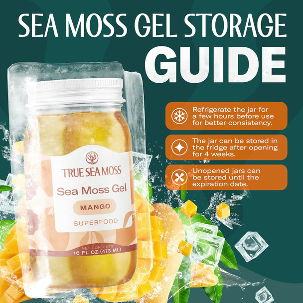 TrueSeaMoss Sea Moss Gel – Wildcrafted Seamoss, Fruits & Jarred Vegetables – Mango - 16 Fl Oz