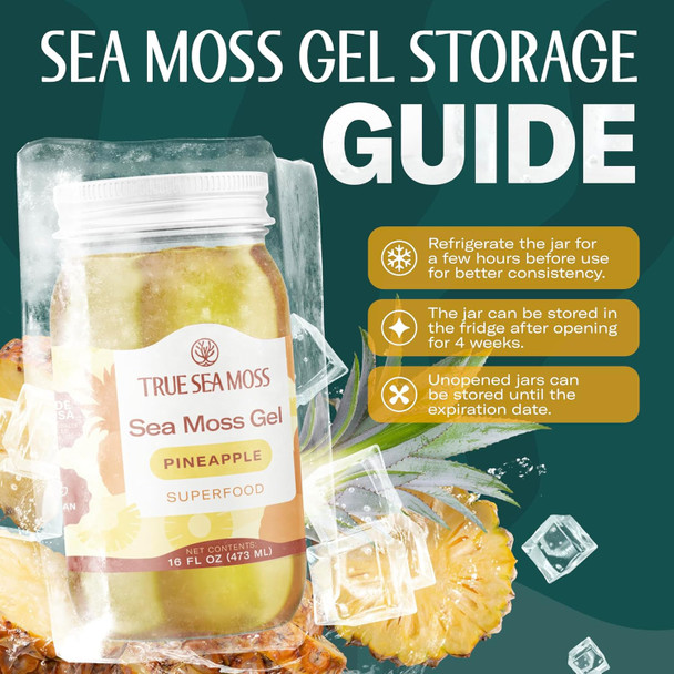 TrueSeaMoss Sea Moss Gel – Wildcrafted Seamoss, Fruits & Jarred Vegetables – Pineapple - 16 Fl Oz