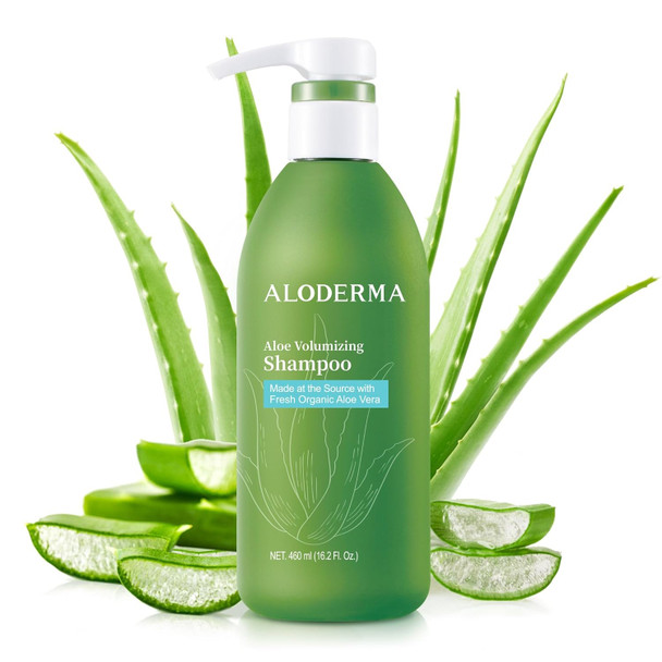 Aloderma Aloe Nourishing Body Wash 16Oz - Fresh Organic Aloe Vera Based (No Water Added) For All Skin Types + Moisturizing Shea Butter & Allantoin For Naturally Soft Hydrated & Nourished Skin