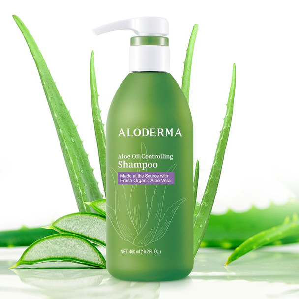 Aloderma Aloe Nourishing Body Wash 16Oz - Fresh Organic Aloe Vera Based (No Water Added) For All Skin Types + Moisturizing Shea Butter & Allantoin For Naturally Soft Hydrated & Nourished Skin