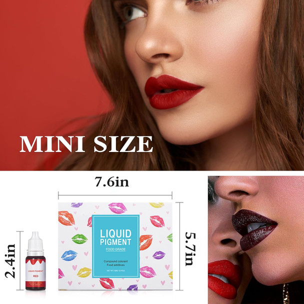 Qiufsse 12 Colors Diy Lip Gloss Pigment Set Liquid Pigment For Lip Gloss Natural Multifunctional High Color Rendering Red Warm Color Pigment For Lip Gloss Making-Set A