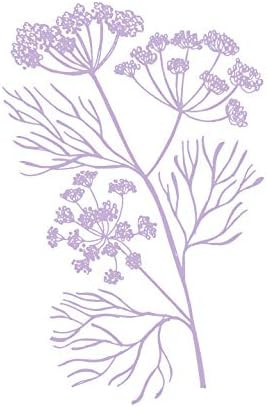 Senna Cosmetics Soothing Toner With Fennel + Royal Jelly 5 Fl Oz