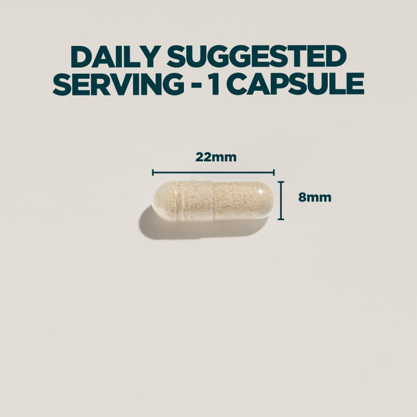 Myprotein Ashwagandha KSM-66 Capsules | 500mg Full-Spectrum Extract | Traditional Ayurvedic Herb for Wellness & Balance | 90 Vegan-Friendly Capsules | Supports Relaxation Mood & Vitality