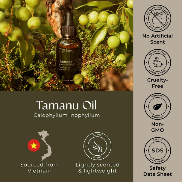 Gya Labs Tamanu Oil - 1 Fl Oz - Carrier Oil for Hair, Skin, Face, Scalp & Body Massage