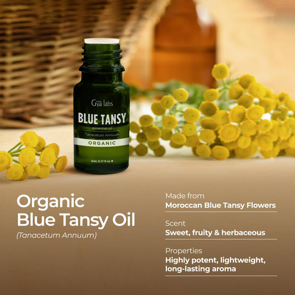 Gya Labs Blue Tansy Essential Oil - 0.17 Fl Oz - for Hair Skin Diffuser Aromatherapy & DIY Candle Making Scent