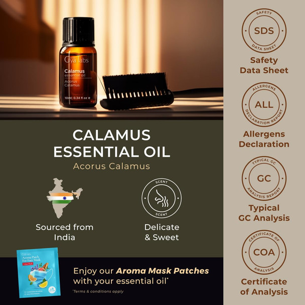 Gya Labs Calamus Essential Oil - 0.34 Fl Oz - for Hair Skin Diffuser Aromatherapy & DIY Candle Making Scent