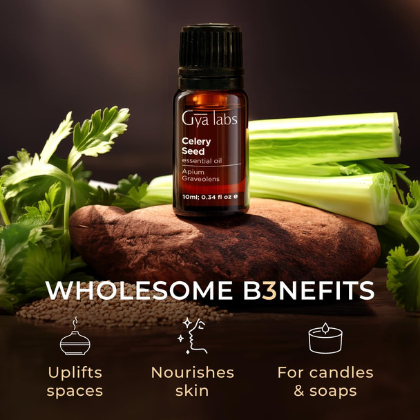 Gya Labs Celery Seed Essential Oil - 0.34 Fl Oz - for Hair Skin Diffuser Aromatherapy & DIY Candle Making Scent