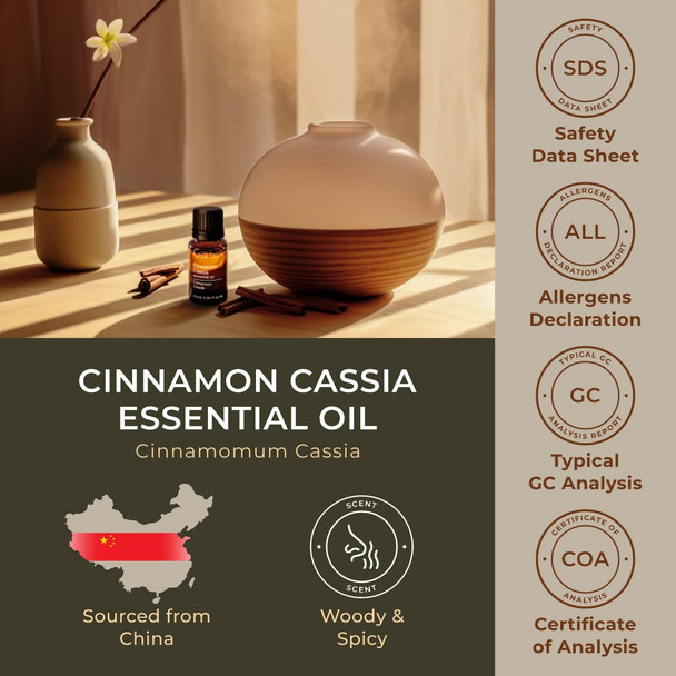Gya Labs Cinnamon Cassia Essential Oil - 0.34 Fl Oz - for Hair Skin Diffuser Aromatherapy & DIY Candle Making Scent