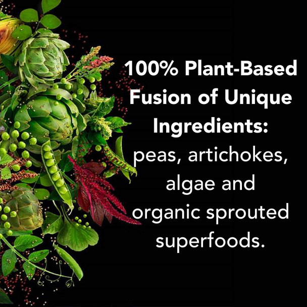 PlantFusion Complete Vegan Protein Powder - Plant Based Protein Powder with BCAAs Digestive Enzymes and Pea Protein - Keto Gluten Free Soy Free Non-Dairy No Sugar Non-GMO - Cookies & Cream 2 lb
