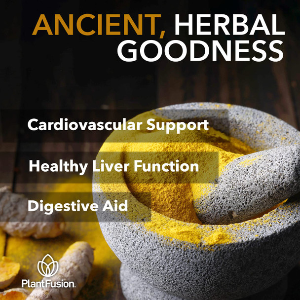 PlantFusion Turmeric and Ginger Drink Mix - Fermented Whole Food Nutrition Herbal Supplement Powder with Curcuminoids - USDA Certified Organic Non-GMO Vegan Gluten-Free 4.76 oz 30 Servings