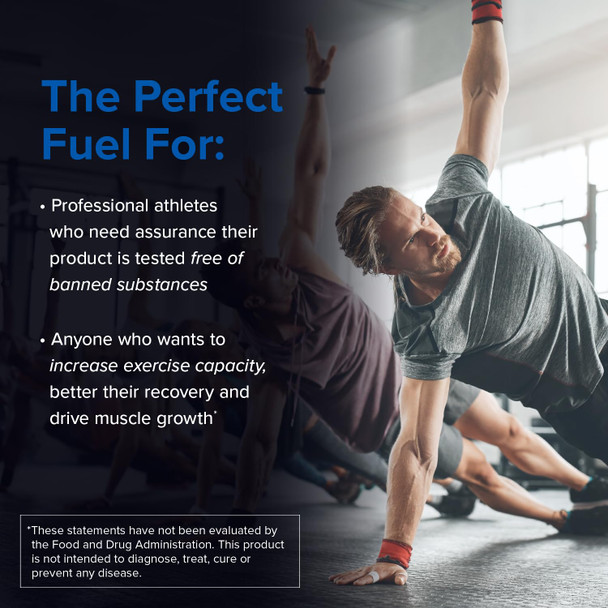 Designs for Sport Micronized Creatine Monohydrate Unflavored Powder - NSF Certified for Sport 90 Servings Supports Muscle Recovery Brain Health Pre and Post Workout Strength