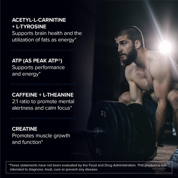 Designs for Sport Workout Complex - NSF Certified for Sport Pre Workout Powder - L-tyrosine Acetyl L-Carnitine Creatine & Caffeine to Support Workout Recovery Energy and Focus (6.3 oz)