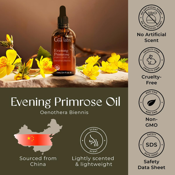 Gya Labs USDA Organic Evening Primrose Oil - 3.4 Fl Oz - Carrier Oil for Hair Skin Face Scalp & Body Massage