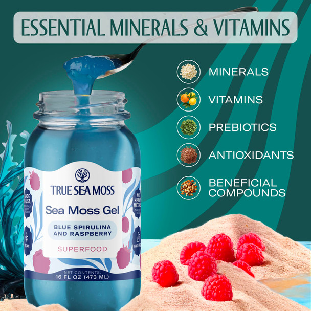 TrueSeaMoss Sea Moss Gel – Made in USA – Wildcrafted Seamoss Fruits & Jarred Vegetables – Blue Spirulina Pack of 1 (Labels may Vary)