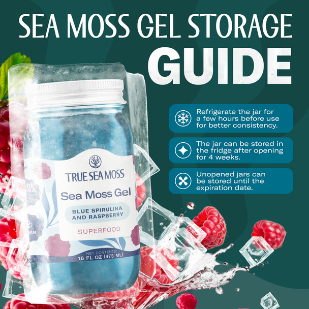 TrueSeaMoss Sea Moss Gel – Made in USA – Wildcrafted Seamoss Fruits & Jarred Vegetables – Blue Spirulina Pack of 1 (Labels may Vary)