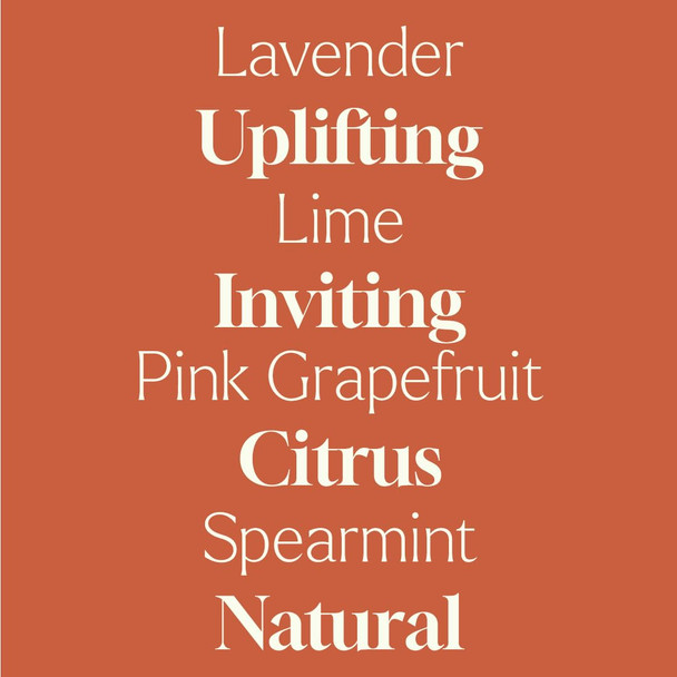 Plant Therapy Home Sparkling Grapefruit Laundry Essential Oil Blend 10 mL (1/3 oz) 100% Pure & Undiluted Fresh Scent for Washer & Dryer Natural Laundry Scent Booster
