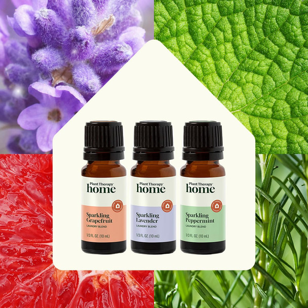 Plant Therapy Home Sparkling Laundry Essential Oil Blends Set of 3 Peppermint Grapefruit & Lavender Pure Undiluted Wash Fragrance and Scent Enhancer