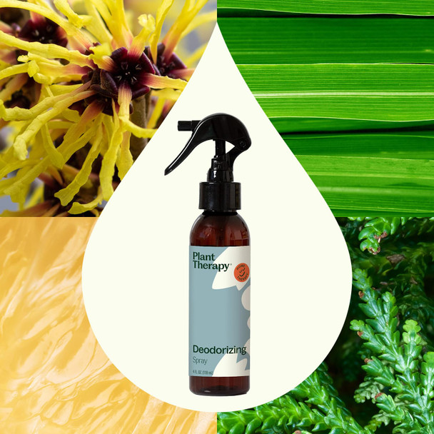 Plant Therapy Deodorizing Powder 16 oz & Deodorizing Room Spray 4 oz Quick On-The-Go Freshness Safe & Gentle for Everyday Use Free from Harsh Chemicals & Synthetic Fragrances