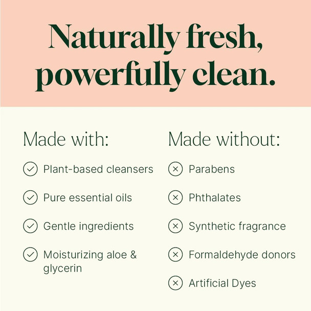 Plant Therapy Home Germ Fighter Foaming Hand Soap Refill 32 oz Naturally Scented with Pure Essential Oils Gentle for Everyday Use Enough for Four 8 Oz Bottles Scented with Pure Essential Oils
