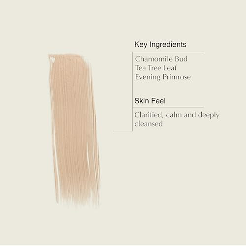 Aesop Chamomile Concentrate Anti-Blemish Masque | Clarifying Clay Formula With Chamomile Bud Tea Tree & Evening Primrose To Calm And Purify Skin | 60 Ml / 2.3 Oz