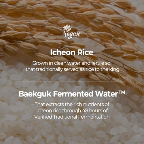 Skinfood Rice Starter Kit Rice Toner Rice Serum Rice Moisturizer And Rice Face Wash For Skin Korean Skin Care Set Travel Size Kit Stocking Stuffers Set For Women Skincare Set