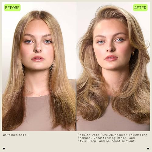 Aveda Pure Abundance Volumizing Style-Prep Lightweight Volumizing Prep Spray For Fine Hair Heat Protection Spray Notes Of Jasmine Peppermint Pamarosa And Ylang Ylang 3.4 Fl Oz