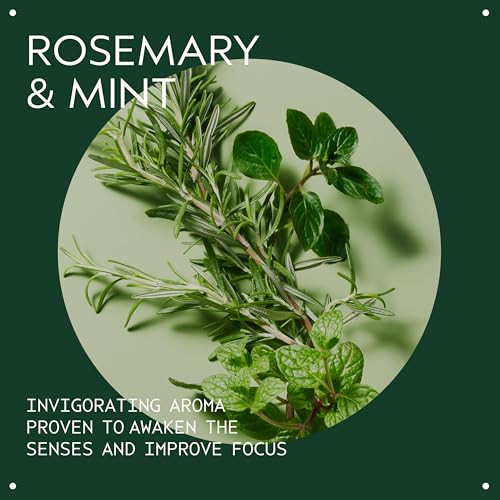 Aveda Rosemary Mint Bath Bar Soap With Invigorating Aroma Of Organic Peppermint & Rosemary