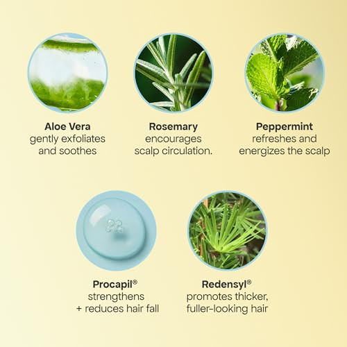 Bondiboost Shed Happens Anti-Thinning Hair Trio Hg Shampoo + Conditioner (90Ml) + Lock Drops Serum (30Ml) Reduces Shedding Supports Fuller & Thicker-Looking Hair Vegan Sulfate & Paraben