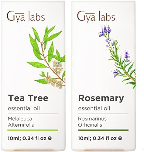 Gya Labs Tea Tree Oil For Skin & Rosemary Oil For Hair & Scalp Set - Aromatherapy Grade Essential Oils Set - 2X0.34 Fl Oz - Gya Labs