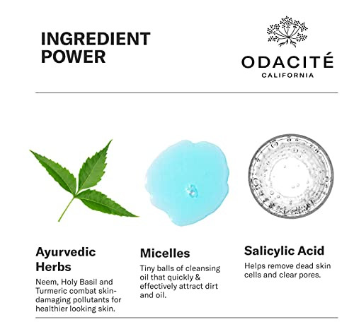 Odacite Odacit Facial Cleanser With Foam - Blue Aura Cleansing Water Facial Wash With Neem Holy Basil & Turmeric - No-Rinse Micellar Water Removes Pollution Impurities & Makeup 4.0 Fl. Oz