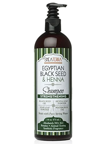 Shea Terra Shampoo Egyptian Black Seed Henna 16 Ounce
