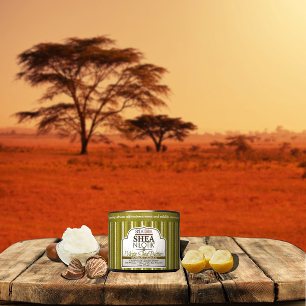 Shea Terra Organics 100% Organic Cold-Pressed Virgin Shea Butter Namibian Marula Natural Anti-Aging Daily Skin Nails & Hair Cream To Soften & Hydrate Dry Skin & Reduce Stretch Mark 6 Oz