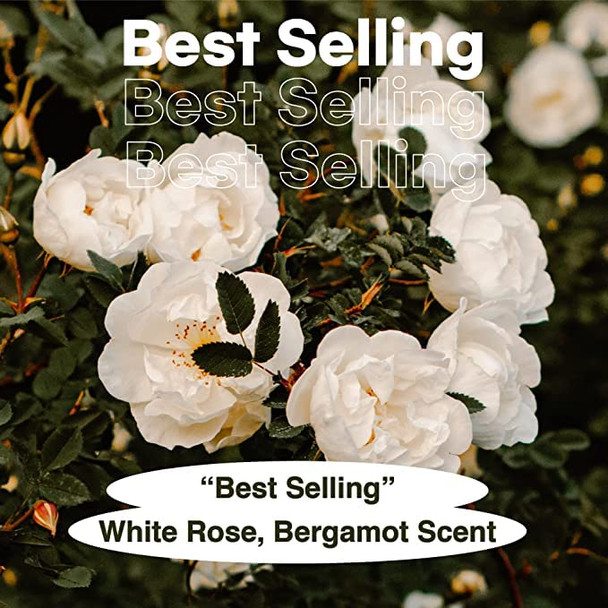 Skybottle Hair & Body Spray And Hand Cream Duo Lasting Fragrance With Bergamot White Rose Scent Travel Size Perfume And Body Spray Nourishes Very Dry Hands Korean Hand Lotion Hygiene Essentials