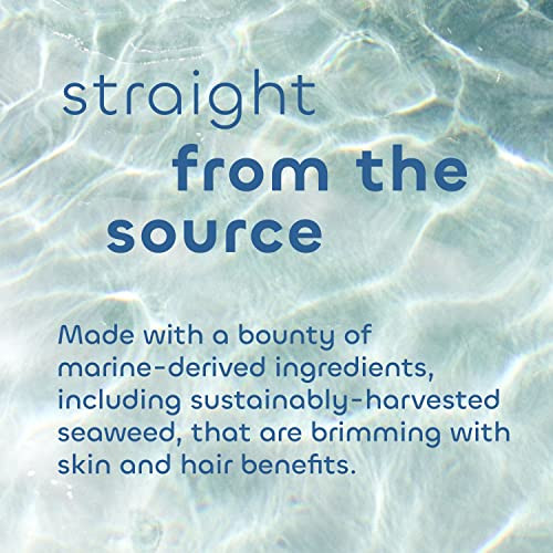 The Seaweed Bath Co. Seaweed Bath Co. Heat Care Shampoo Lime Papaya Scent 12 Ounce Sustainably Harvested Seaweed Sea Buckthorn Kakadu Plum For Heat Damaged Hair