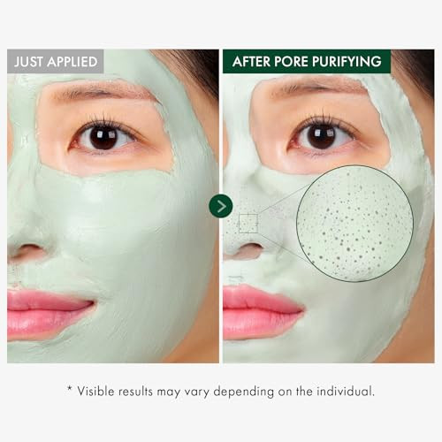 Tosowoong Real Centella Mud Mask For Blemish-Prone Skin With Witch Hazel Tea Tree Blackhead Cleansing Pore Care & Skin Relief Cooling Quick Dry Formula Face Mask Korean Skincare 100 G / 3.52 Oz