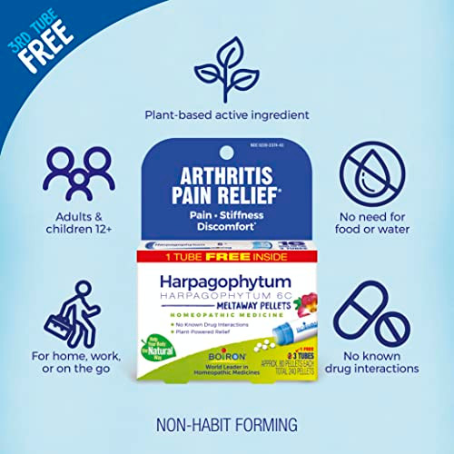 Boiron Harpagophytum 6C Homeopathic Medicine For Arthritis Pain Relief Pain Stiffness Discomfort - 3 Count (240 Pellets)