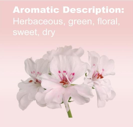 Doterra Geranium Essential Oil 15 Ml