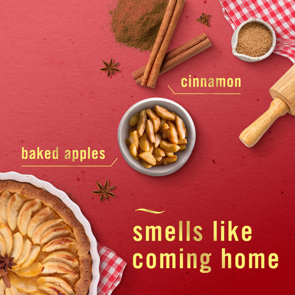 Febreze Air Mist Air Freshener Spray Odor-Fighting Room Spray Air Fresheners For Home And Bathroom And Kitchen Aerosol Can Baked Cinnamon Apples Scent 8.8Oz 2 Count