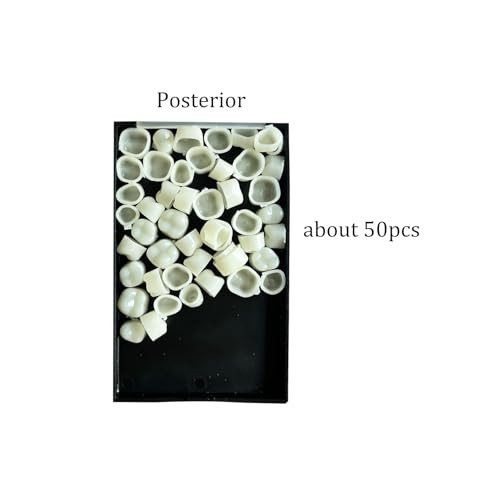 Fruta 120Pcs Temporary False Tooth Crown Kit For Anterior Posterior With Moldable Fake Teeth Thermal Fitting Beads