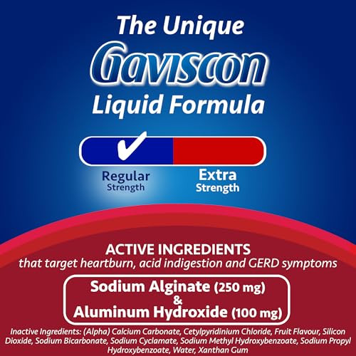 Gaviscon Icy Fruit 600Ml