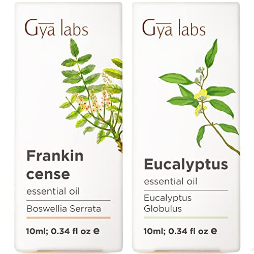 Gya Labs Frankincense Oil For Skin & Eucalyptus Essential Oil For Diffuser Set - Aromatherapy Grade Essential Oils Set - 2X0.34 Fl Oz - Gya Labs