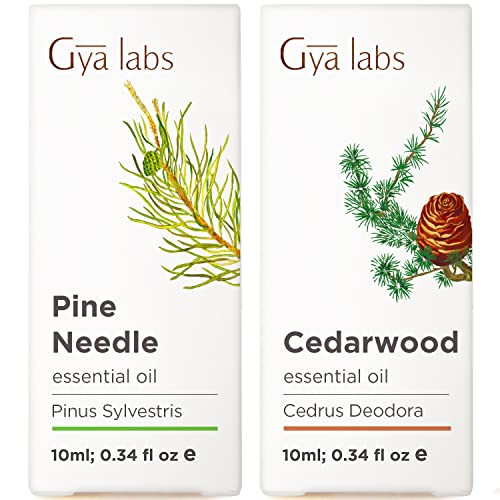 Gya Labs Pine Needle Oils For Diffuser & Cedarwood Oil For Hair Set - Aromatherapy Grade Essential Oils Set - 2X0.34 Fl Oz - Gya Labs