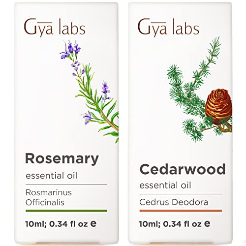 Gya Labs Rosemary Oil For Hair & Cedarwood Oil For Hair Set - Aromatherapygrade Essential Oils Set - 2X0.34 Fl Oz - Gya Labs