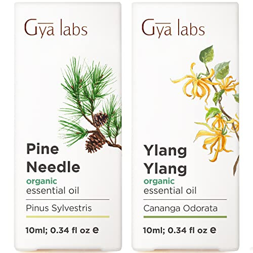 Gya Labs Spearmint Essential Oil For Diffuser & Lemon Essential Oil For Skin Set - Essential Oils Set - 2X10Ml - Gya Labs